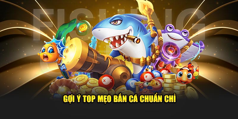 Gợi ý top mẹo bắn cá chuẩn chỉ